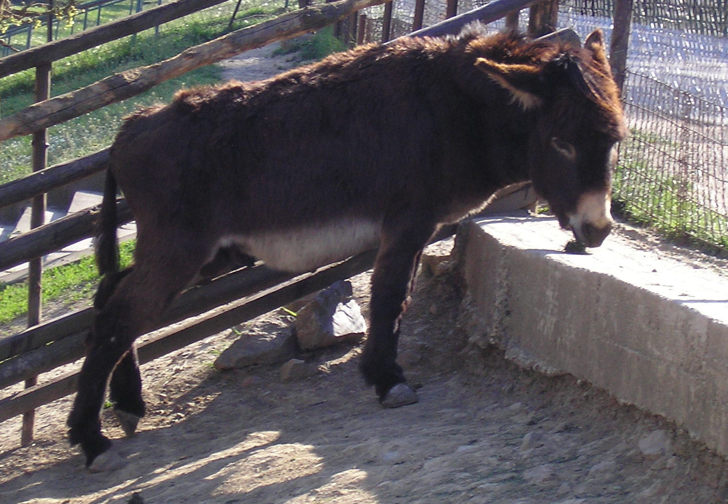 P4220121.jpg