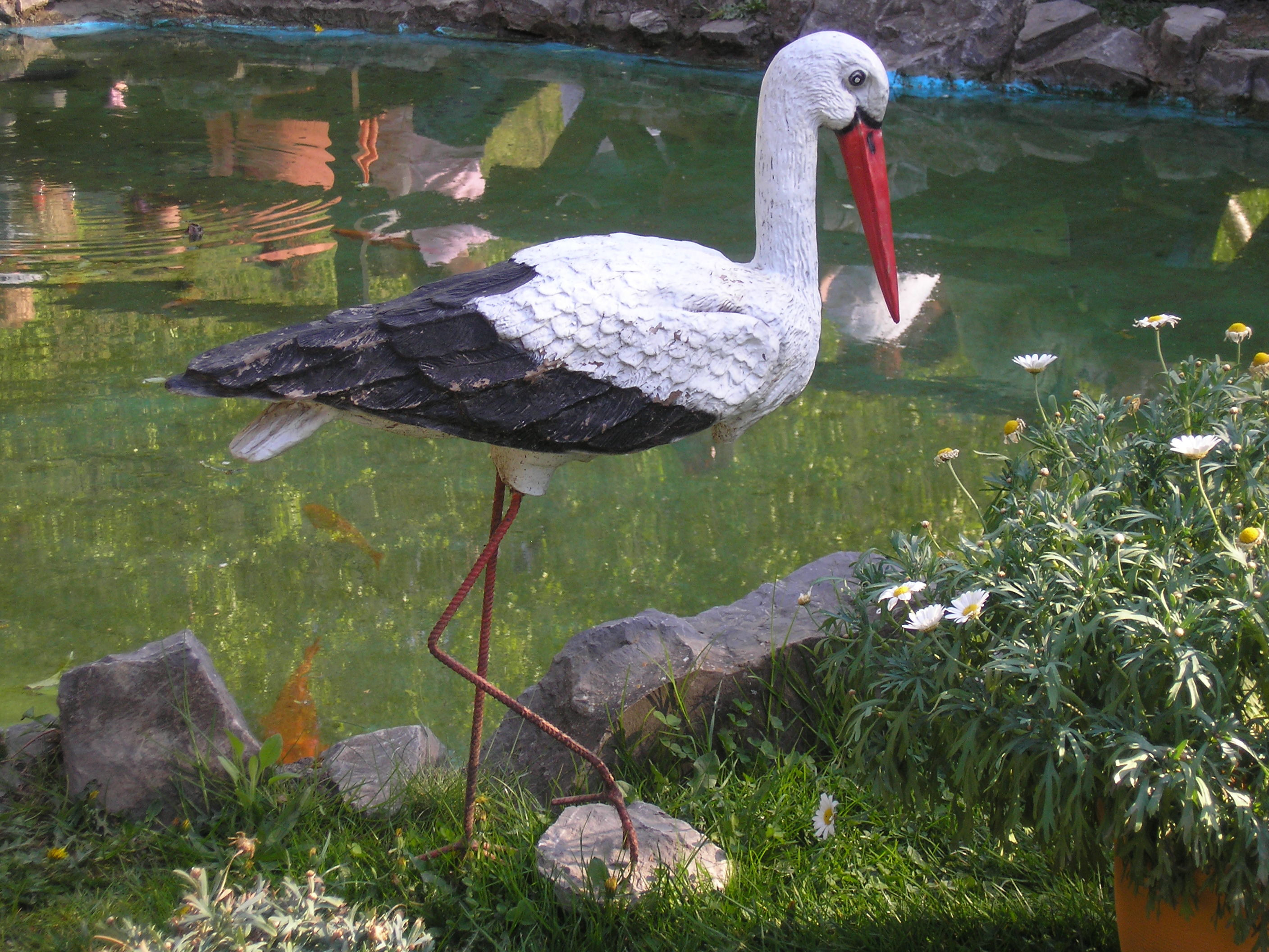 P4220152.jpg