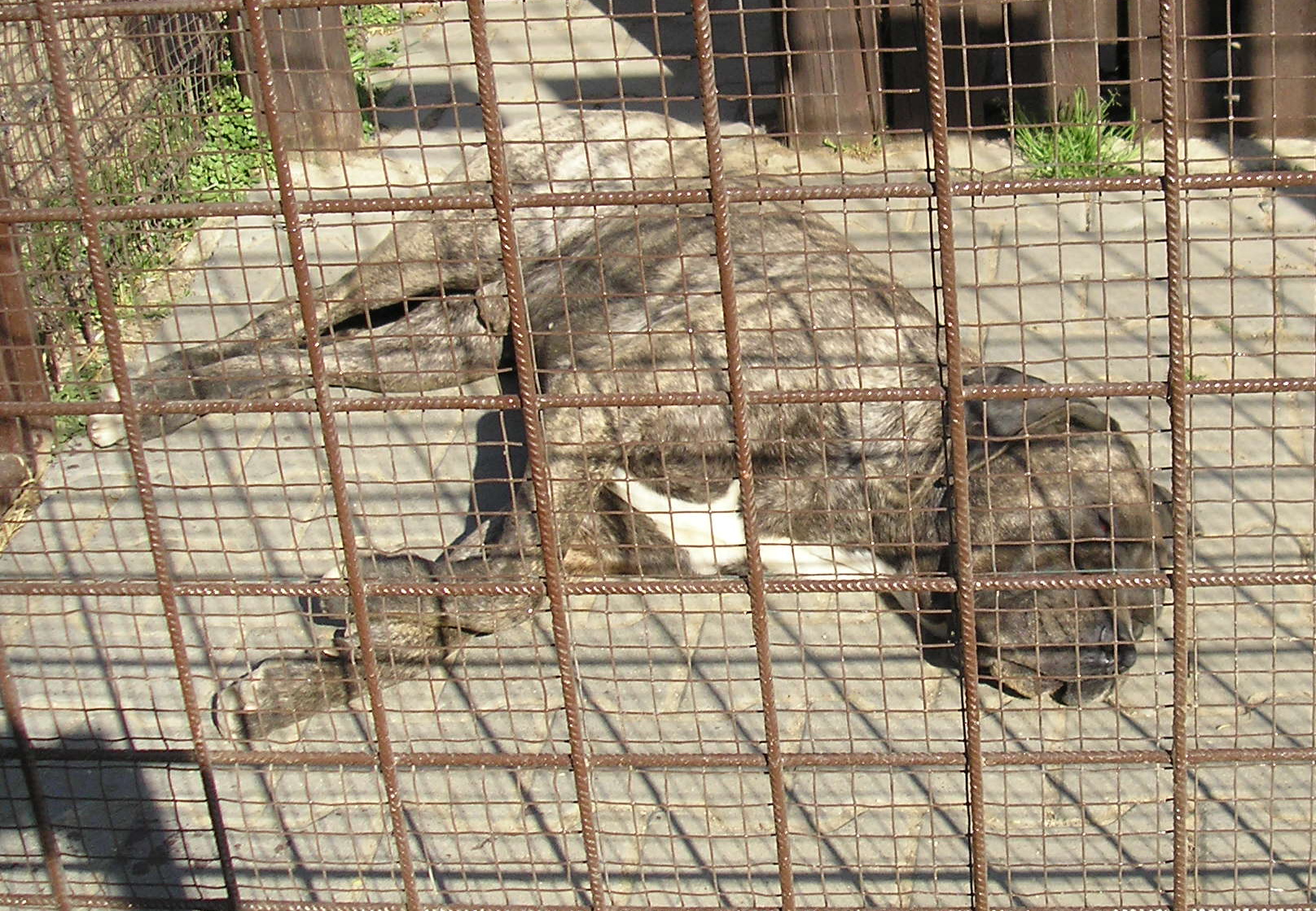 P4220143.jpg