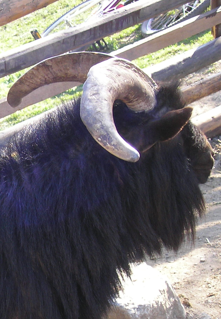 P4220130.jpg